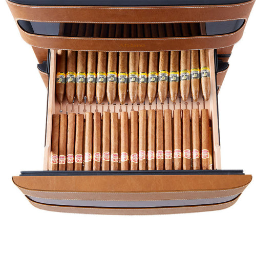 Afidano 250 count cigar humidor in black with Spanish cedar lining and digital controls, designed for luxury cigar storage and preservation.